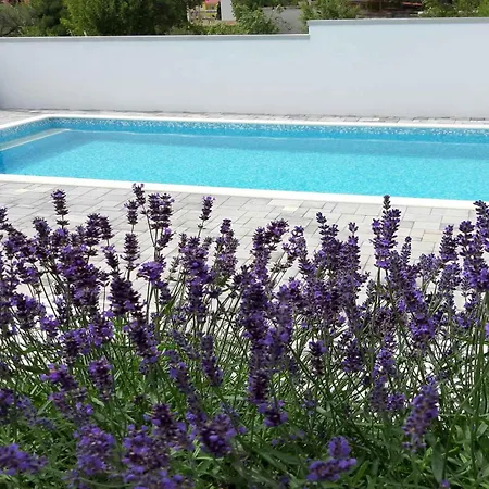 Apartamento With Pool Seline-paklenica Riviera 55258 Seline